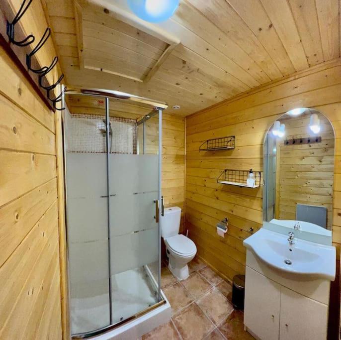 Chalet 6B Dans Les Pyrenees Proche D'Andorre L'Hospitalet-pres-l'Andorre Exterior photo
